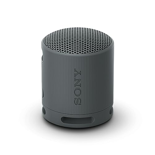 Sony Altavoz Bluetooth SRS-XB100, Ligero, Compacto, Altavoz Resistente al Agua y al Polvo IP67, hasta 16 h de batería, Correa Adaptable, Negro