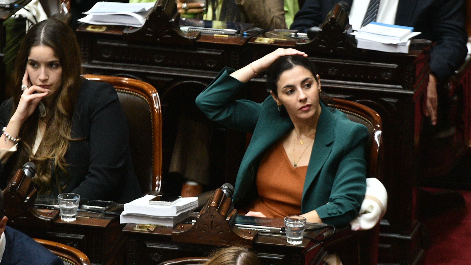 Ley Bases Cámara de Diputados marcela pagano