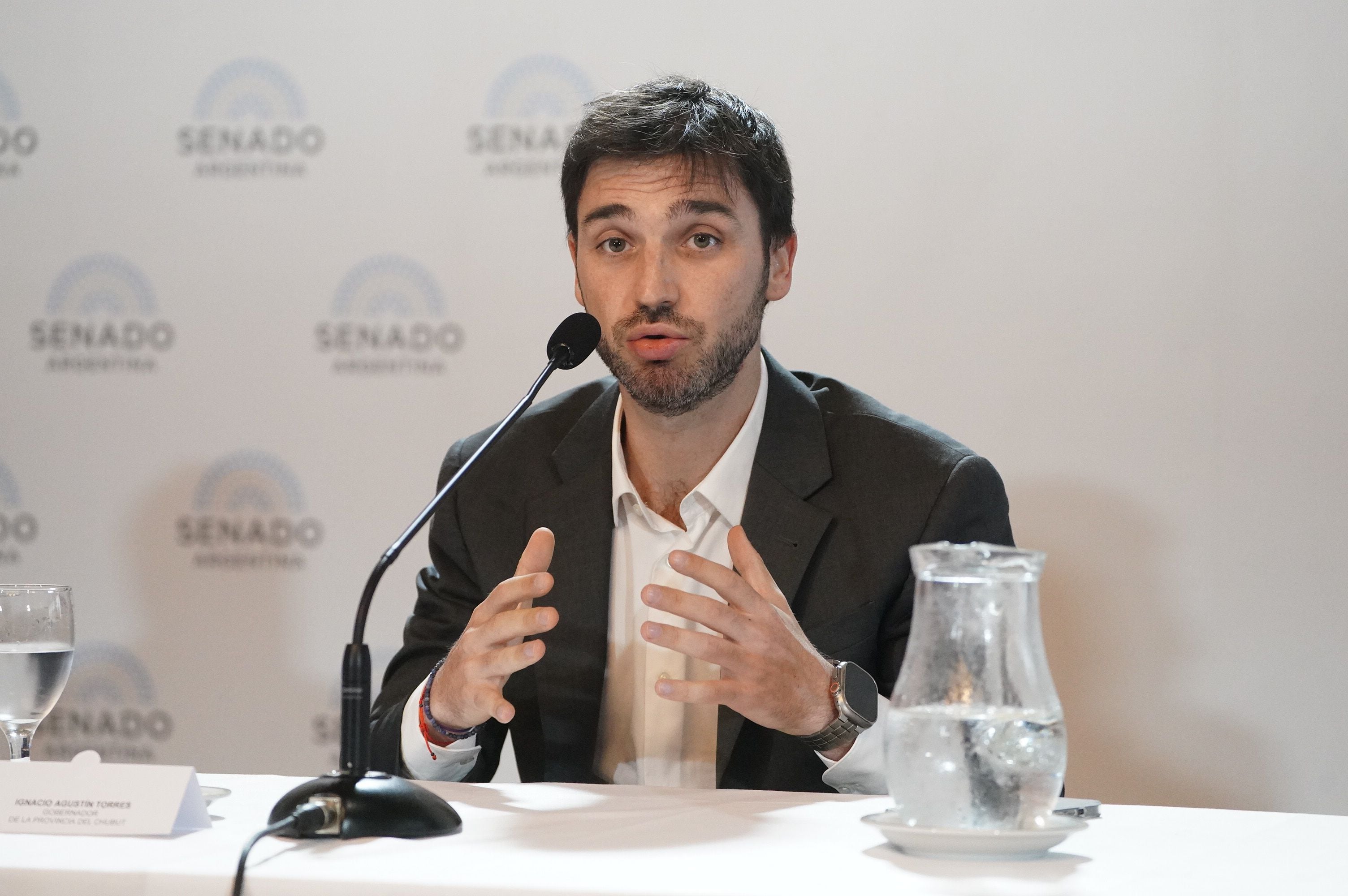 Conferencia de prensa en el Senado - Nacho Torres