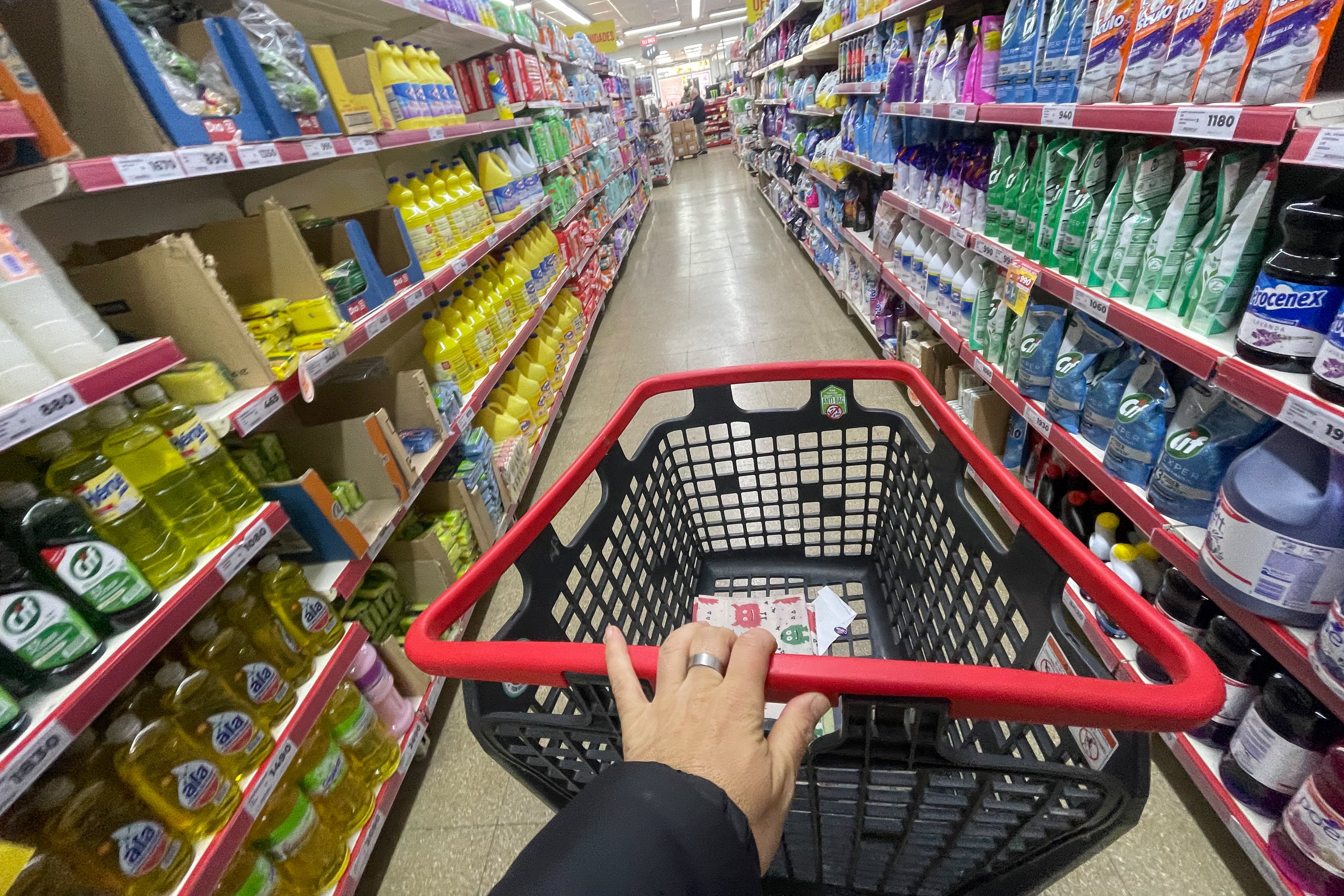 Fotografía de archivo de una persona realiza compras en un supermercado en Buenos Aires (Argentina). EFE/ Juan Ignacio Roncoroni 