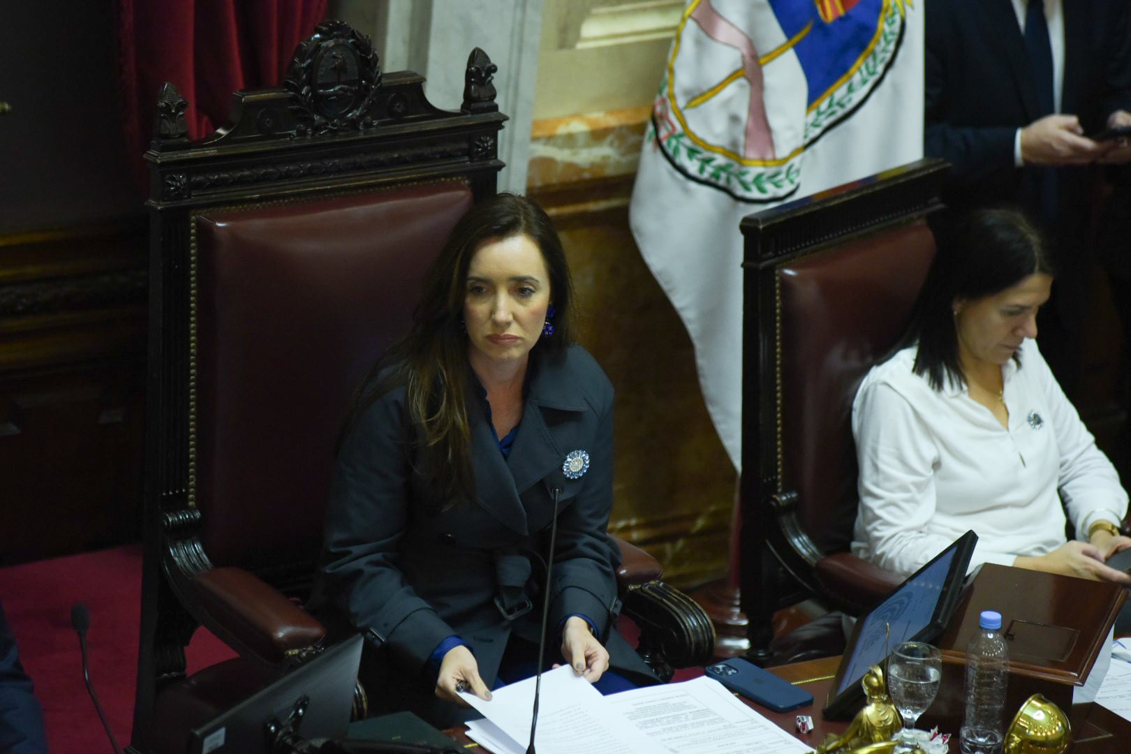 Debate Ley Bases en el Senado - 12.06.2024 - Victoria Villarruel