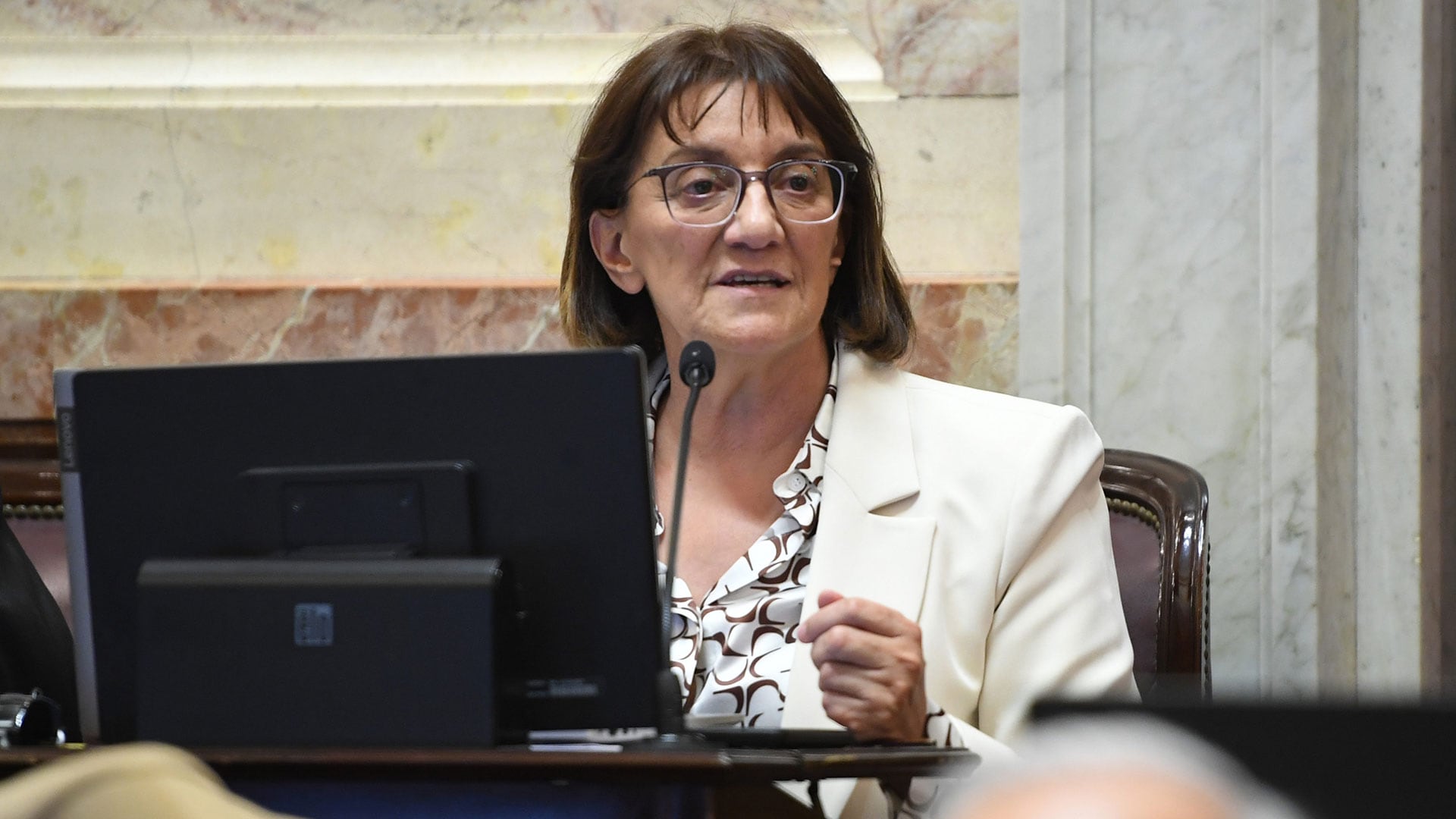 Monica Silva debate proyecto trata niños en el Senado