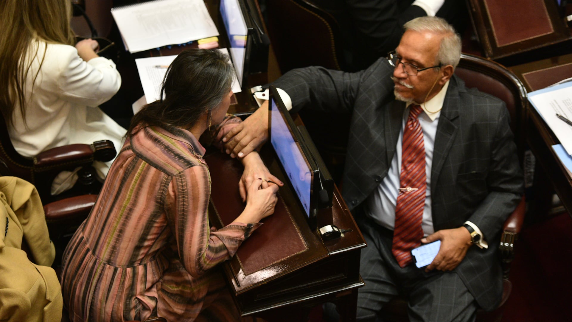 Debate Ley Bases en el Senado - 12.06.2024