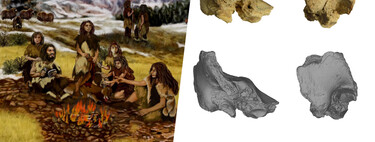 Hemos descubierto al primer neandertal con síndrome de Down. Y ofrece muchas pistas sobre nuestro pasado 