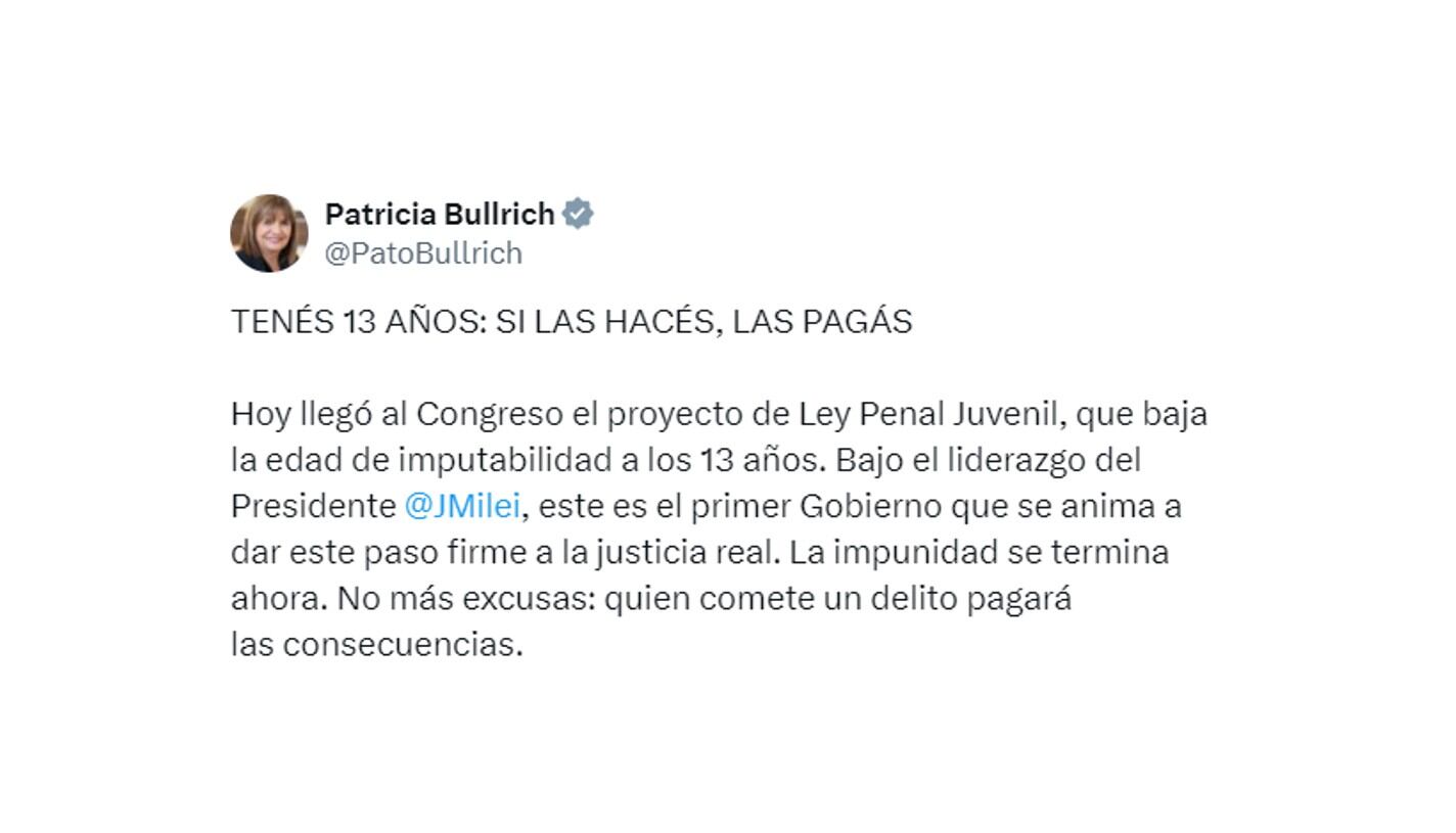 patricia bullrich - imputabilidad