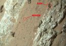 El rover Perseverance ha encontrado la roca que lleva años buscando en Marte: tiene marcas de posible vida microbiana