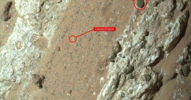 El rover Perseverance ha encontrado la roca que lleva años buscando en Marte: tiene marcas de posible vida microbiana