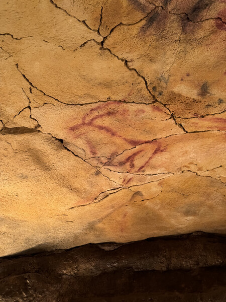 La cabra. Es una cabra pyrenaica (se sabe por los cuernos). 18.000 años de antigüedad | Imagen: Xataka