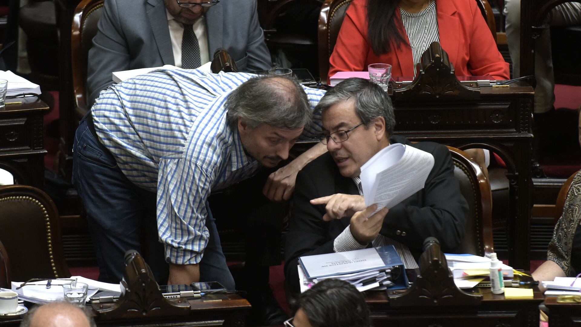 La Cámara de Diputados debate en particular la Ley Ómnibus