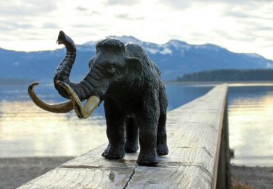 ¿Reviven los mamuts? Una técnica genética revolucionaria pudo extraer el ADN intacto de un animal que murió hace 52.000 años