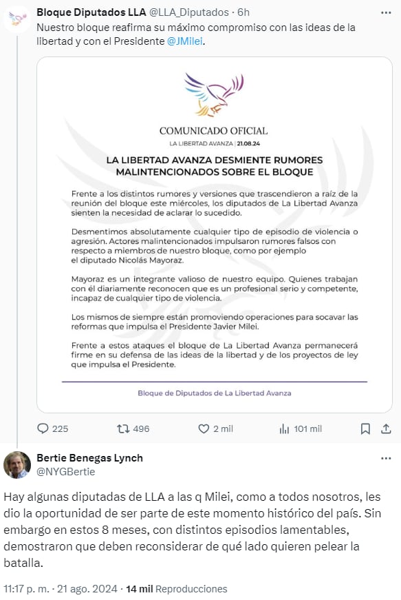 Bertie Benegas Lynch apuntó contra Arrieta y Bonacci