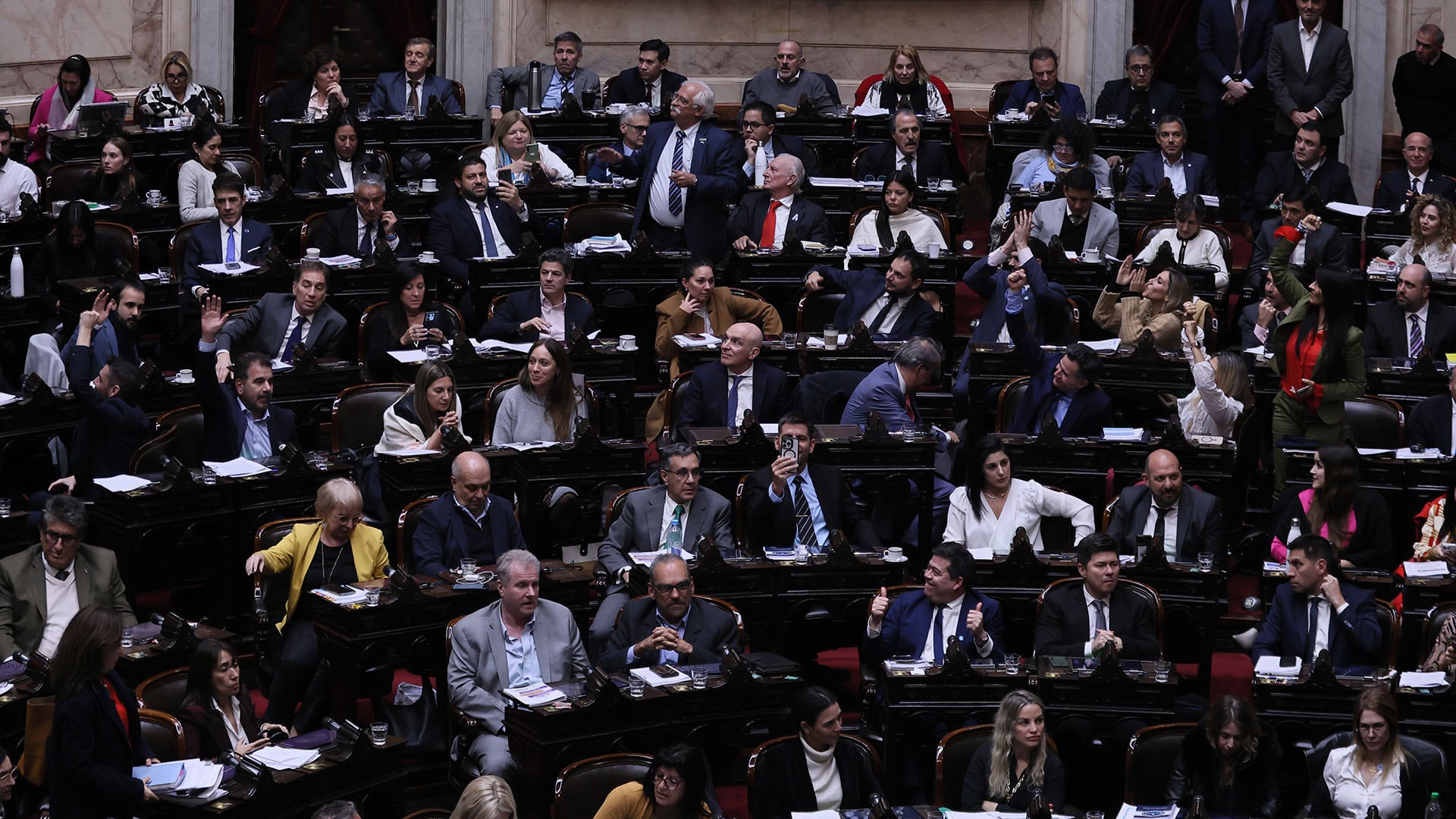 Ley bases en diputados - 27.06.2024 - Recinto