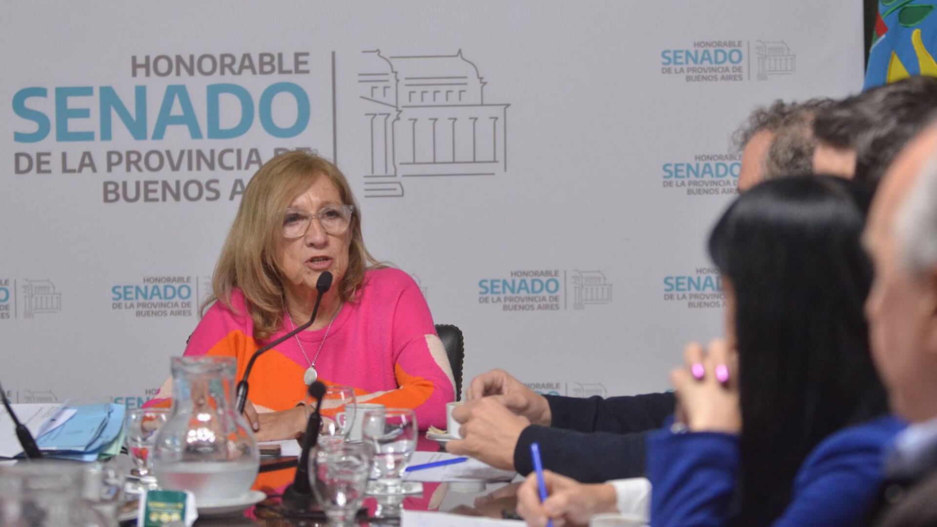 Comisión de Trabajo del Senado bonaerense