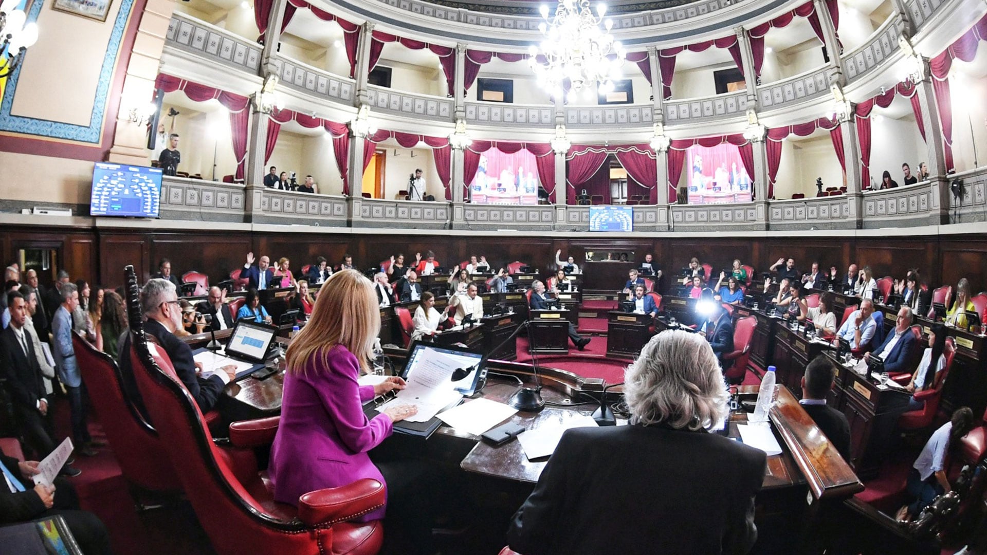 Sesión senado bonaerense