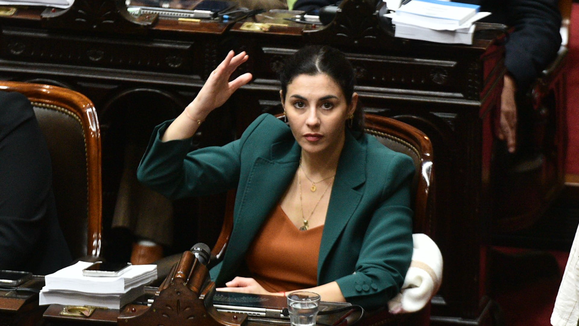 Ley Bases Cámara de Diputados marcela pagano