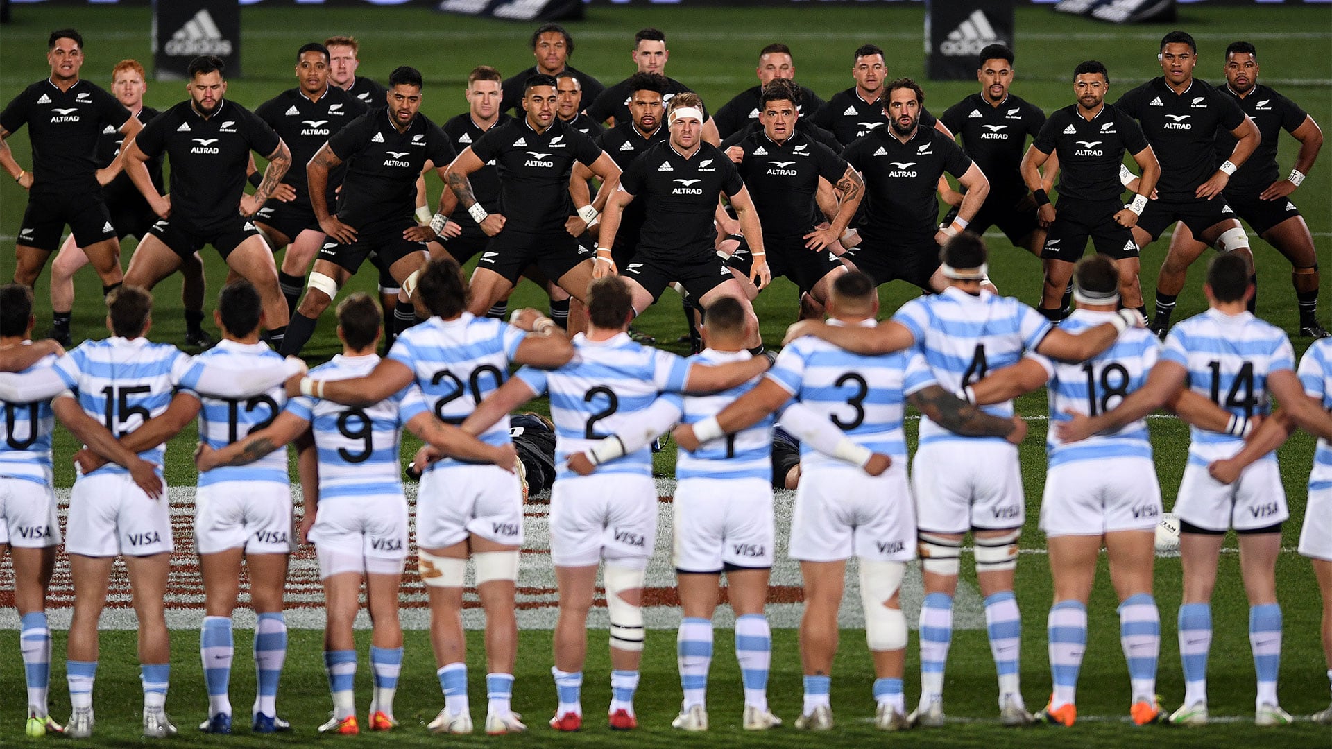 Pumas-vs-All-Blacks-Argentina-vs-Nueva-Zelanda