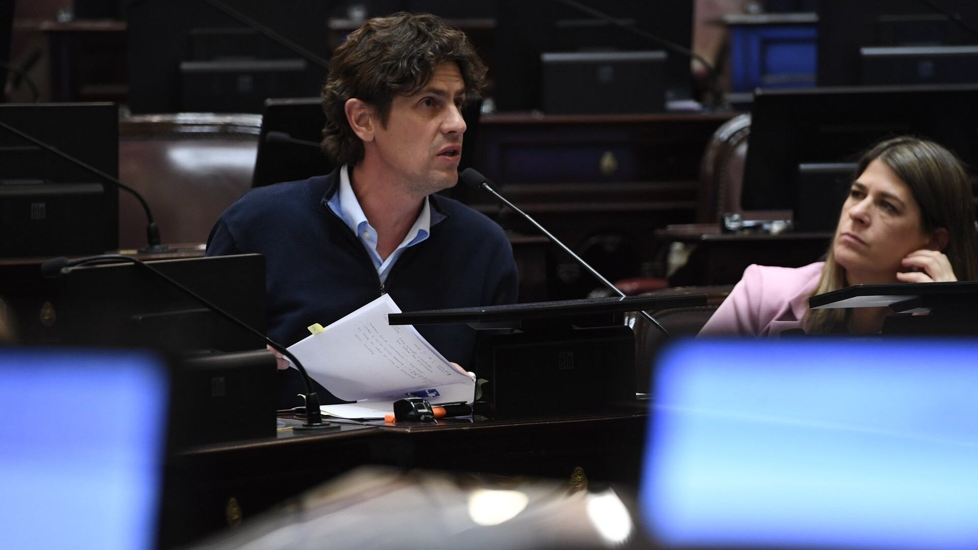 Martín Lousteau en el Senado