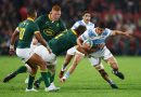 Así formarán los Springboks para enfrentar a Los Pumas en el Rugby Championship