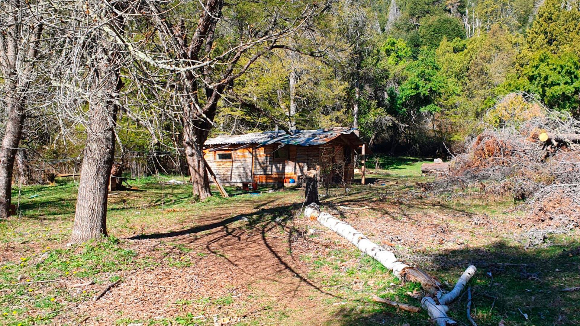 Viviendas que construyeron los mapuches en los predios usurpados en Villa Mascardi