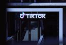 Advirtieron que hackers usan TikTok para robar contraseñas