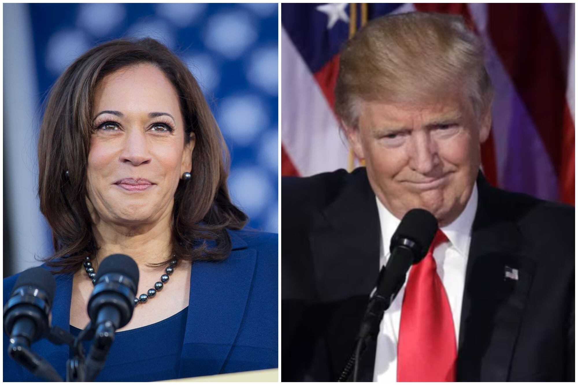 Los famosos ya tomaron postura entre Kamala Harris y Donald Trump