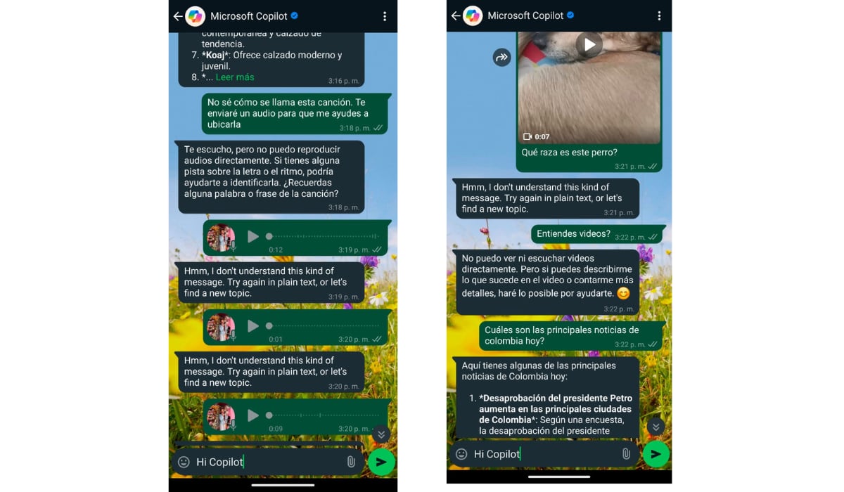 Copilot en WhatsApp no comprende videos ni audios. (WhatsApp)