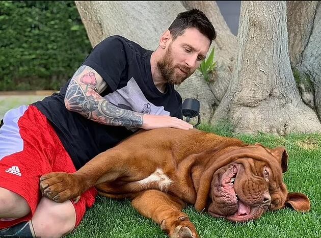 El Mastín Francés, llamado Hulk, llegó a la familia Messi en 2016