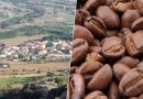 Hay un pequeño pueblo catalán que quiere lograr lo que parecía imposible: ser la nueva cuna del café en Europa