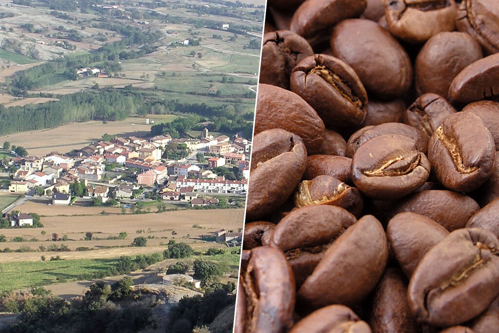 Hay un pequeño pueblo catalán que quiere lograr lo que parecía imposible: ser la nueva cuna del café en Europa 