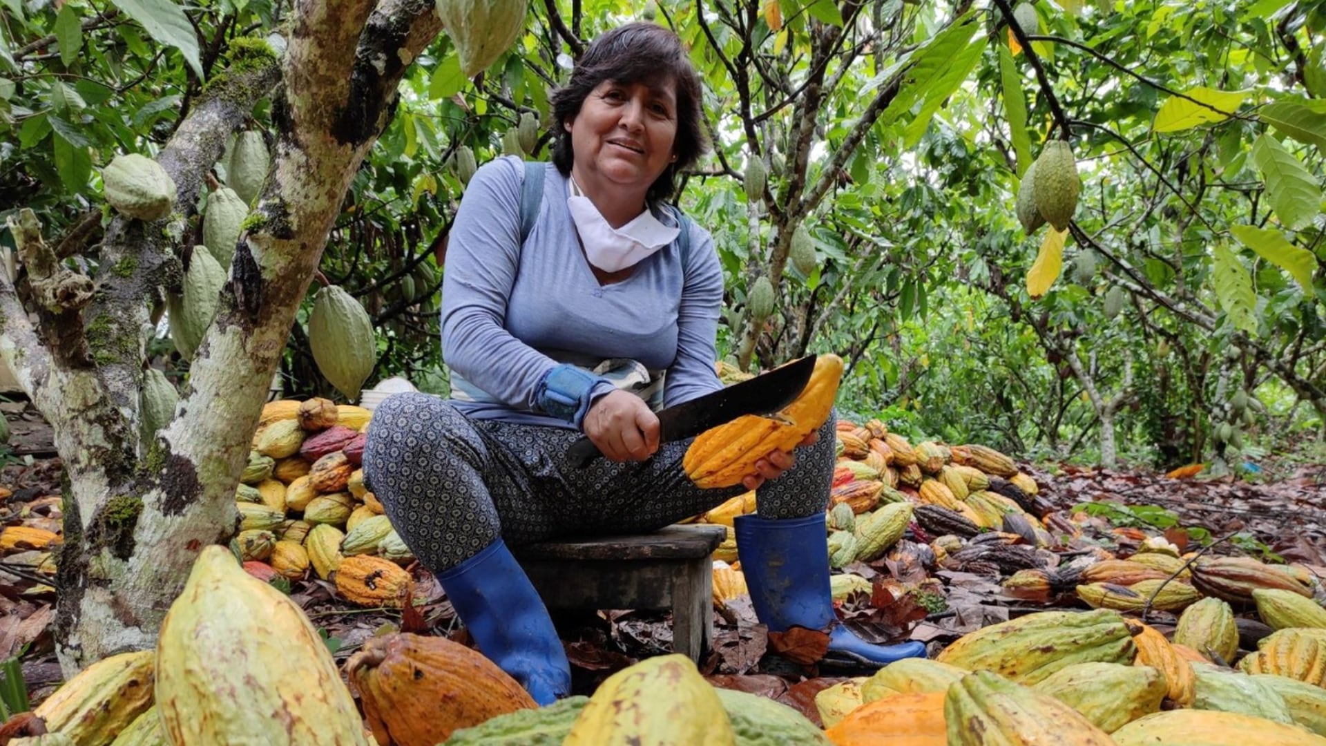 Con su experiencia en el sector financiero y junto a su hermano, Fiorella fundó Tappoyo, una fintech que da acceso a créditos a mujeres rurales, permitiéndoles tomar el control de su futuro económico.  (Andina)