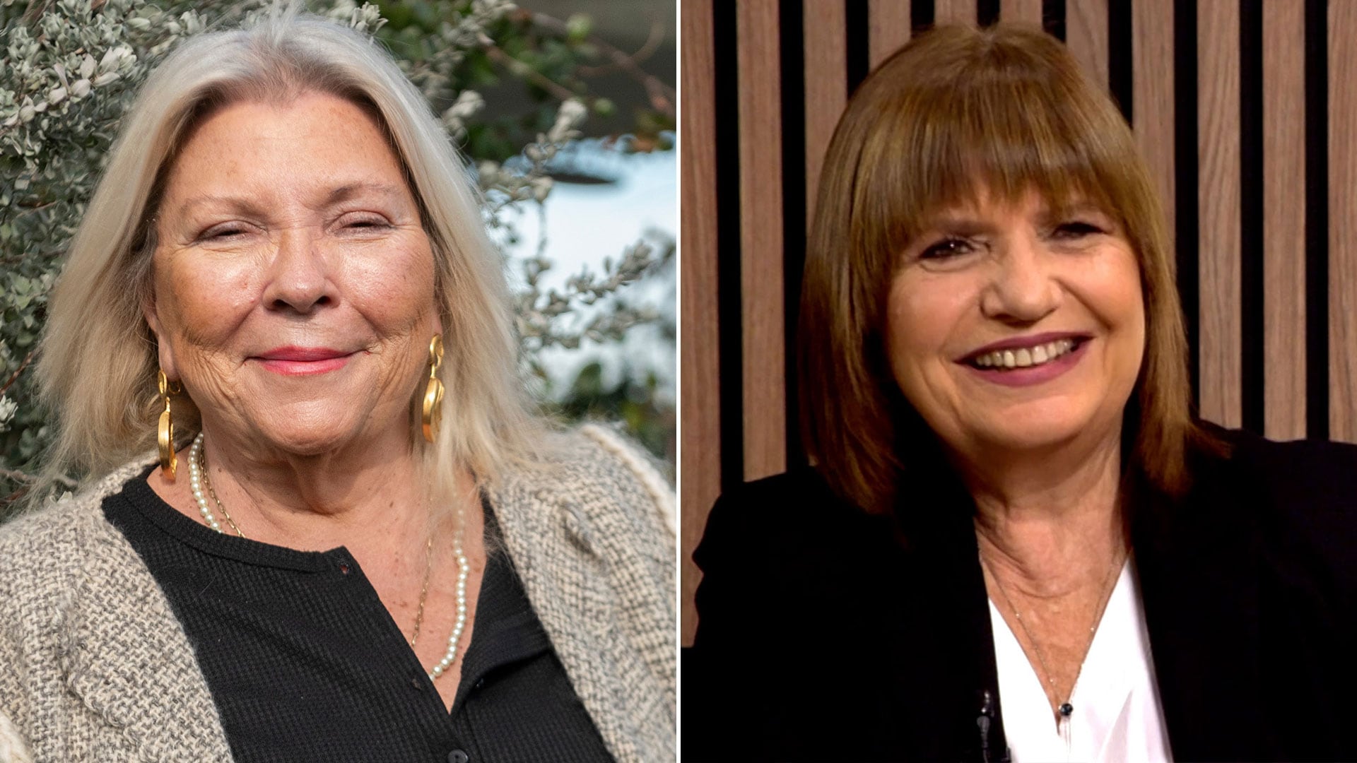 Carrió y Bullrich