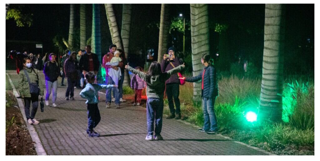 El espíritu del Halloween invade octubre, por lo que el recinto natural tiene preparada una edición especial referente a la temática llamada “Ser murciélago por una noche” - crédito Jardín Botánico