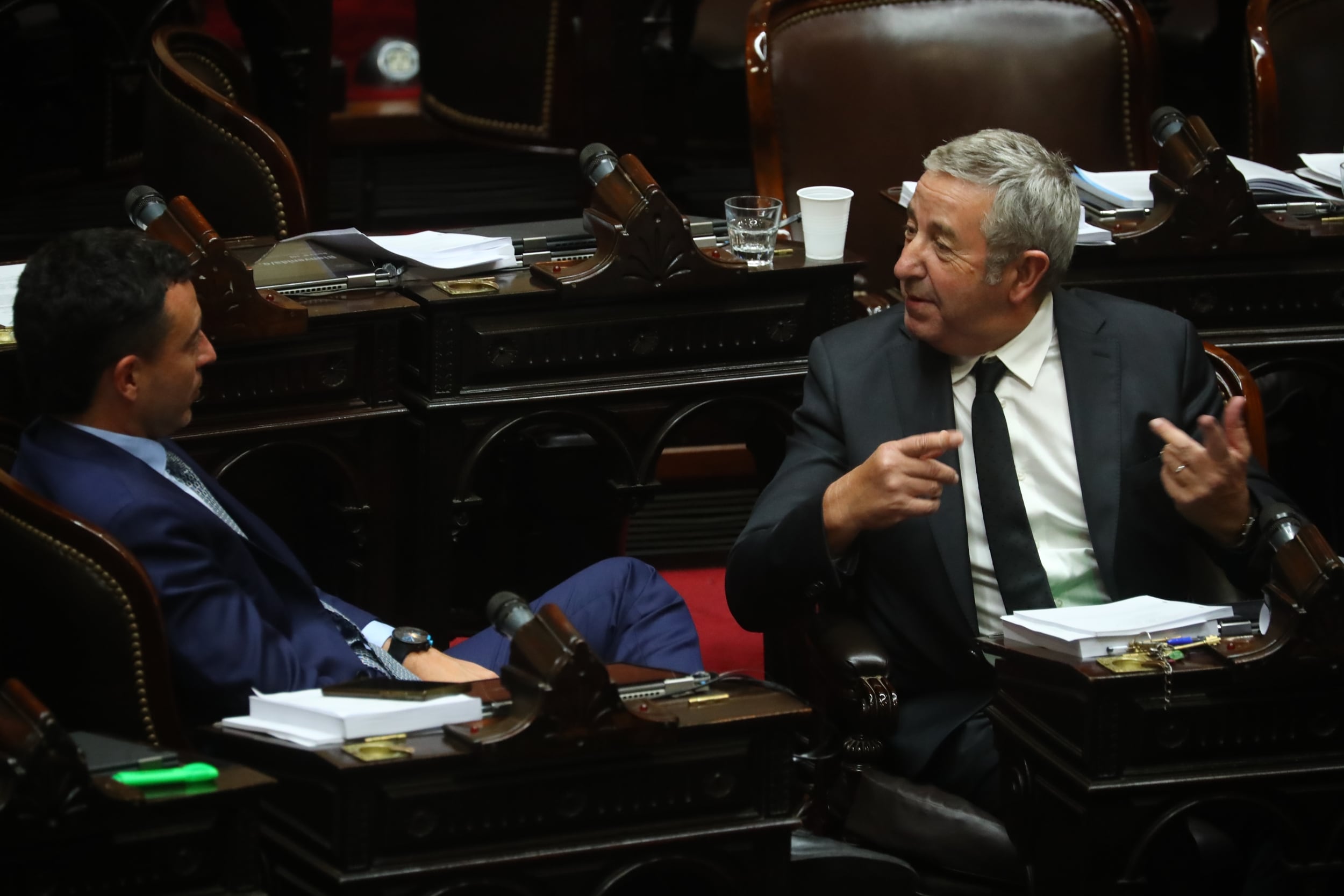 Julio Cobos y Rodrigo De Loredo en el recinto de la Cámara de Diputados