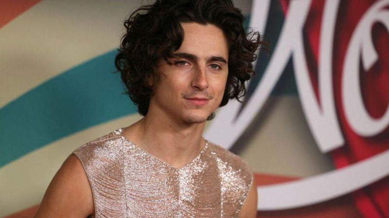 El actor Timothee Chalamet compartirá pantalla con Paltrow