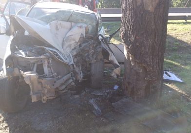 Un auto chocó contra un árbol en Autopista Dellepiane y General Paz: cinco heridos