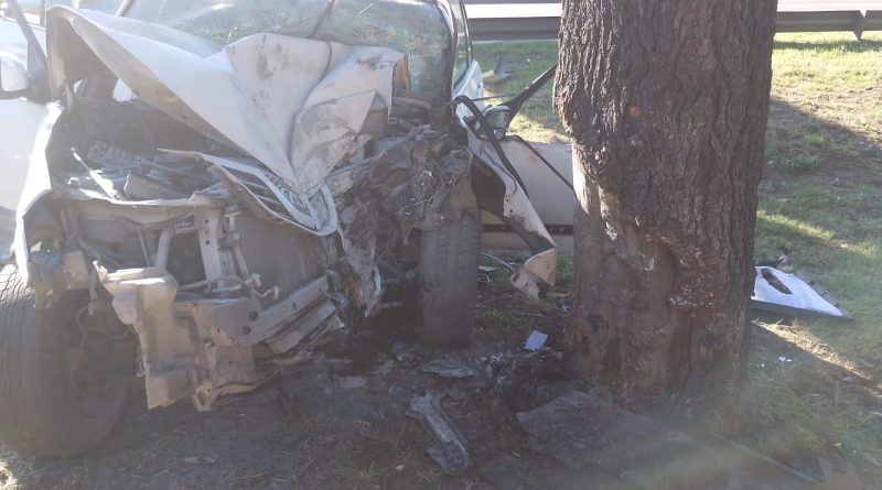 Un auto chocó contra un árbol en Autopista Dellepiane y General Paz: cinco heridos